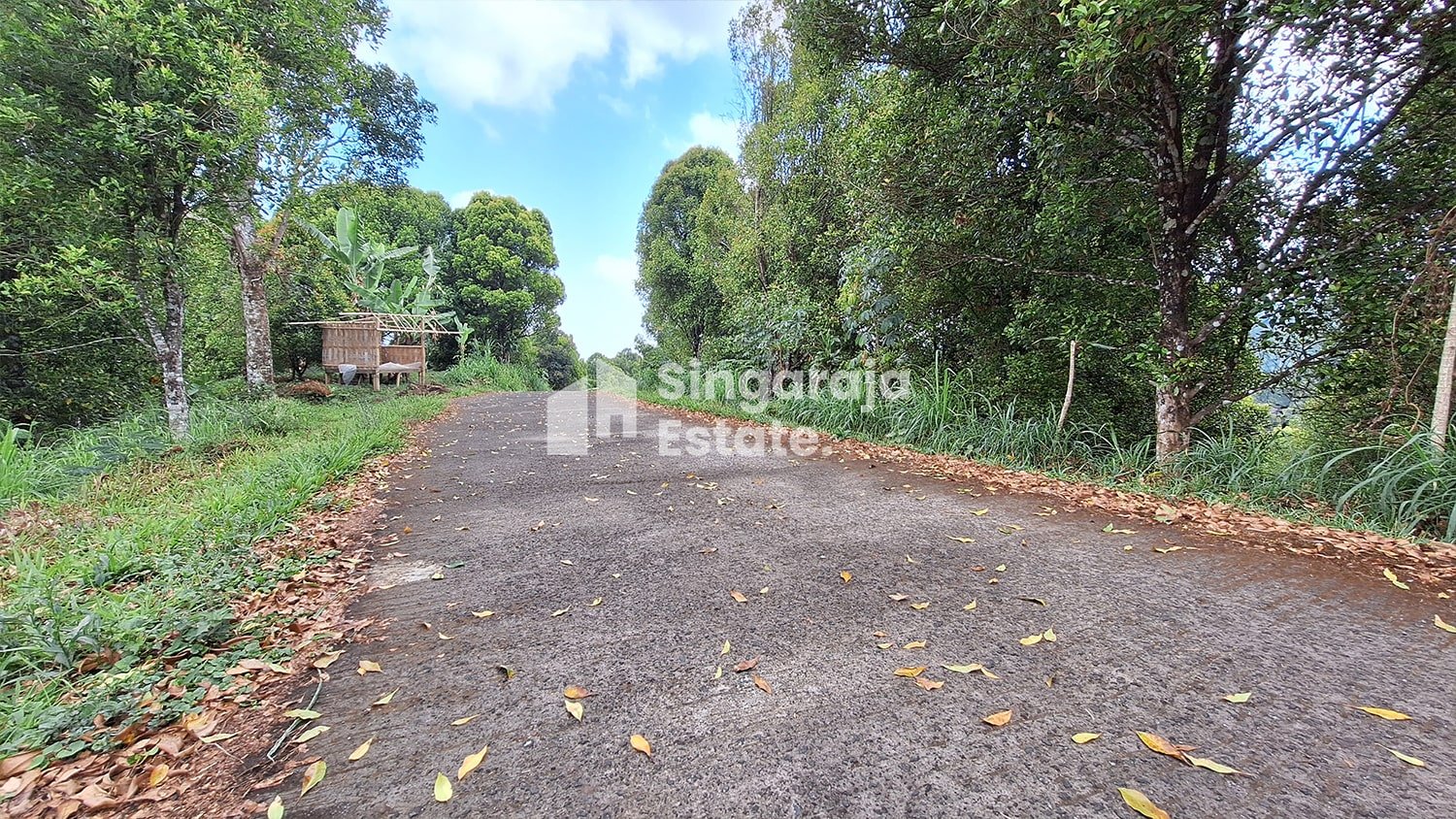 Tanah 5 Hektare View Laut di Dataran Tinggi Buleleng - Image 3